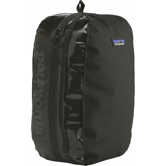 Patagonia Large Packing Cube