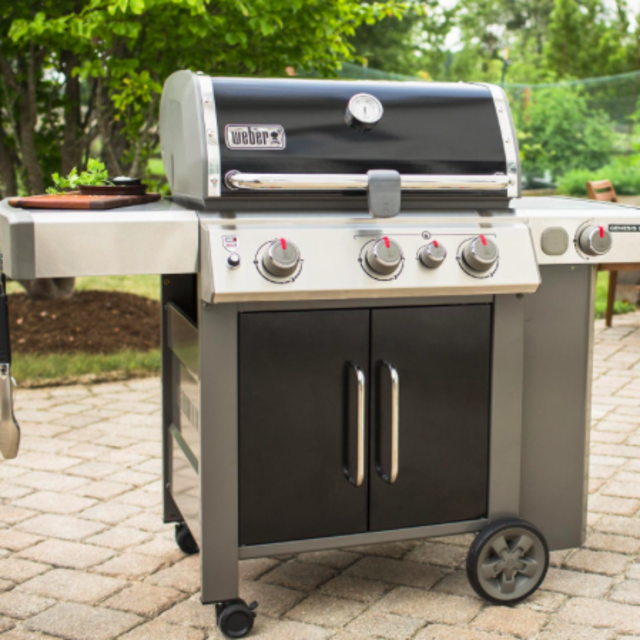 Weber Genesis gas grill fund