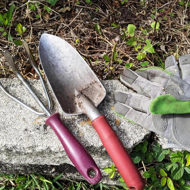 Our Backyard & Garden Fund