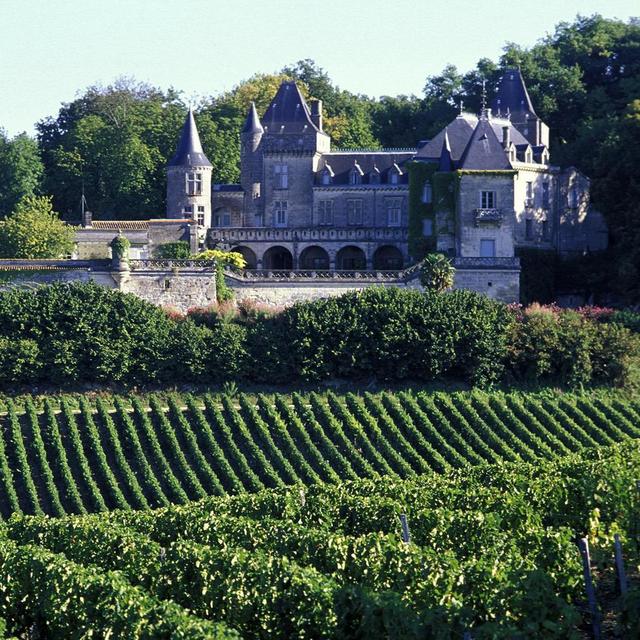 Vineyard Visits