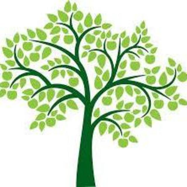 Groff's Plant Farm Gift Certificate