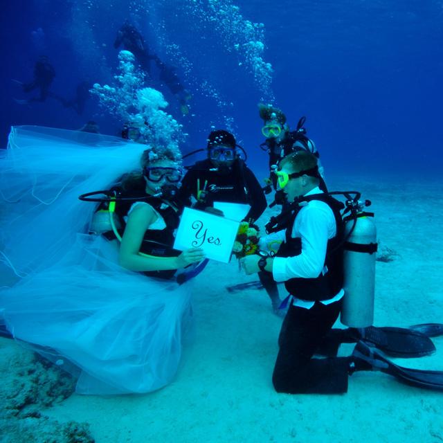 Scuba Diving