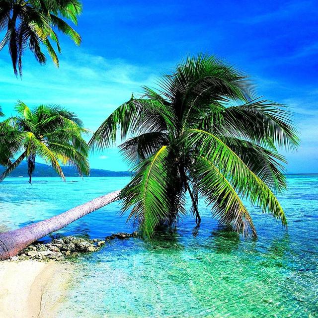 Resort Credit