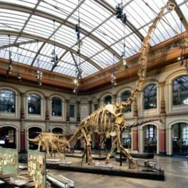 Museum Tour(s)