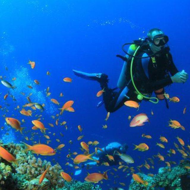 Scuba Diving Certification