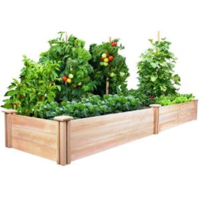2 ft. x 8 ft. x 10.5 in. Cedar Raised Garden Bed