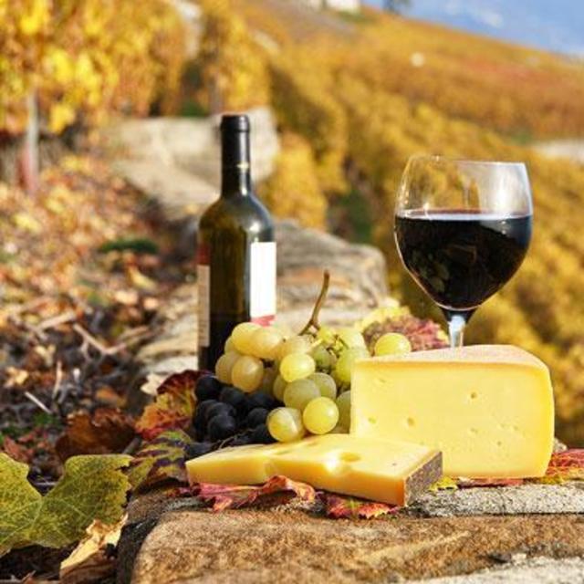 Chianti Wine Tour & A Bottle to Take Home for Our Anniversary