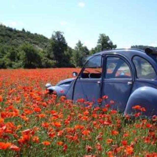 Car for Provence