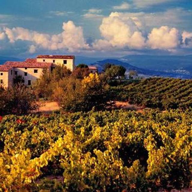 Provence Rosé Wine Tastings, Tour & Bottle