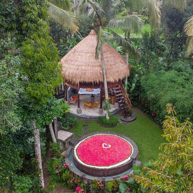 4 Days/ 3 Nights in Jungle Tree House