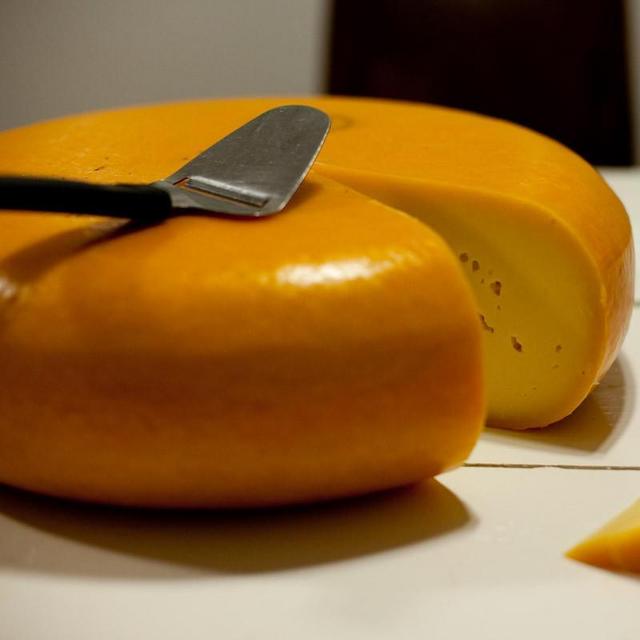 Dutch Cheese