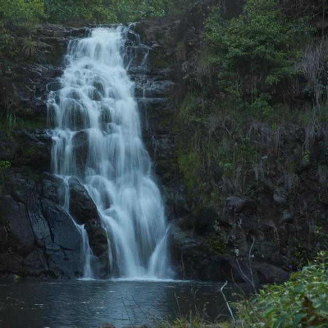 Waimea Falls/Botanical Garden & Lunch