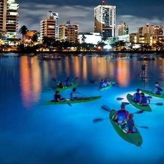 Bioluminescence Kayaking