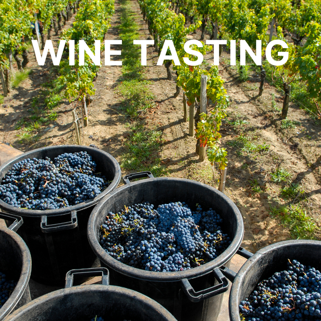 Honeymoon Wine Tasting
