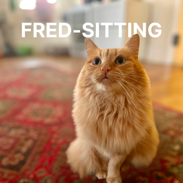 Fred's pet-sitting fees