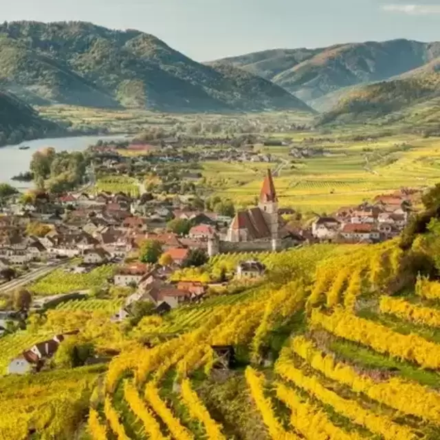 Treat us to some nice wine in Austria!