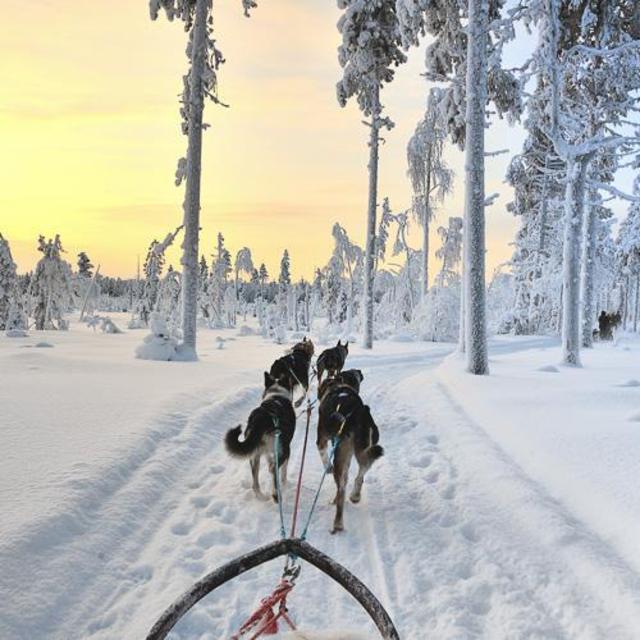 Finland Lapland Excursions