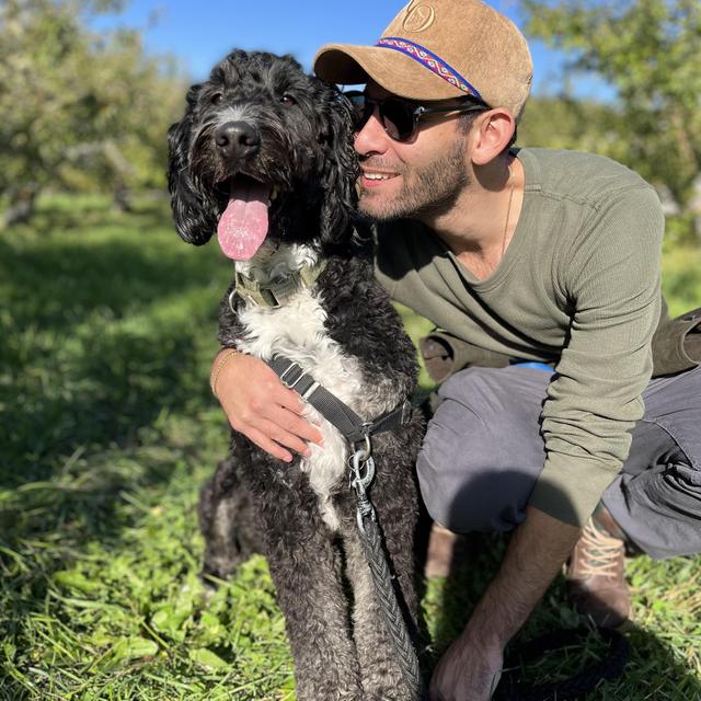 Dog Sitter for Franklin During Our Wedding and Honeymoon