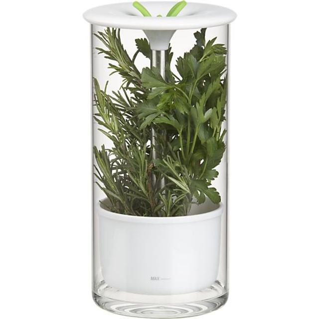 Glass Herb Keeper