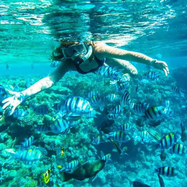 Snorkeling Day Trip