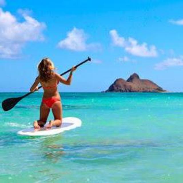 Paddle Boarding Excursion
