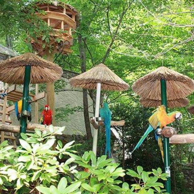 Tickets to the Parrot Mountain Gardens