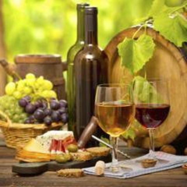 Wine Tasting in Colchagua Valley, Chile