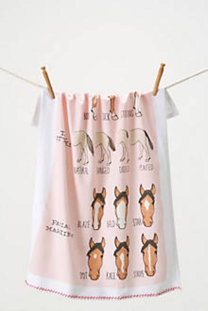 Equine Markings Dishtowel