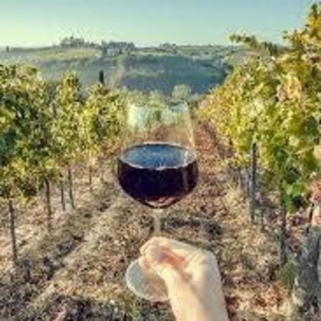 Wine Tour and Lunch in Tuscany