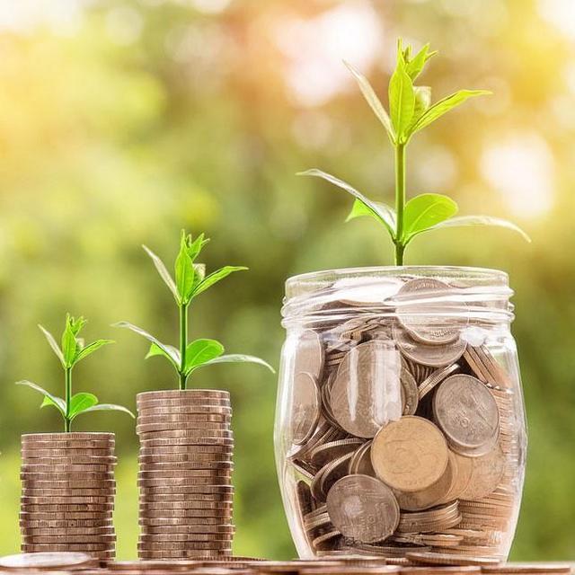 Help our savings Grow!