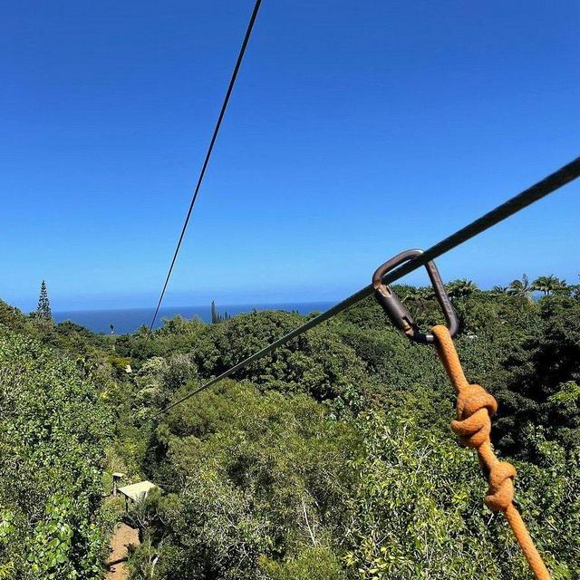 8 Lines Jungle Zipline Tour in Maui