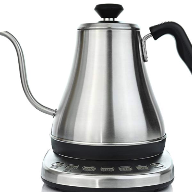 Electric kettle with temperature control