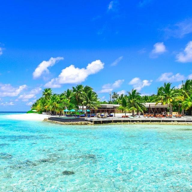 Our Honeymoon to Jamaica fund