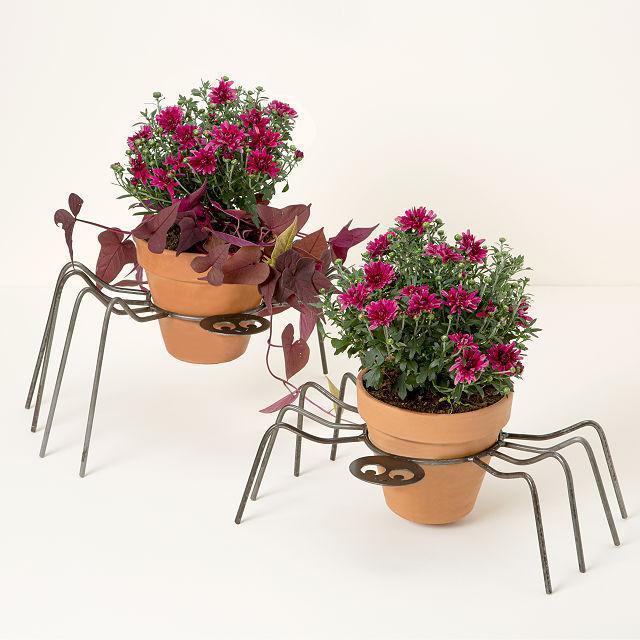Spider Pumpkin & Flower Pot Holder