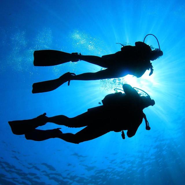 Scuba Diving