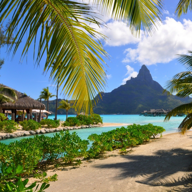 Our Tropical Honeymoon Fund