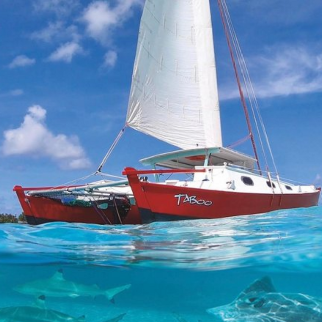 Full Day Catamaran Sailing Trip