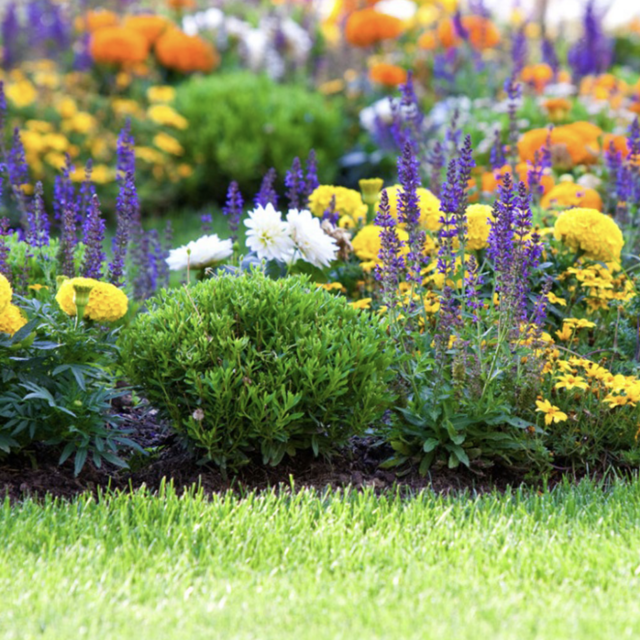 Wedding Garden Project