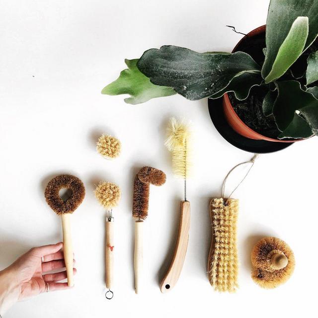 Assorted Cleaning Brushes from Marley's Monsters