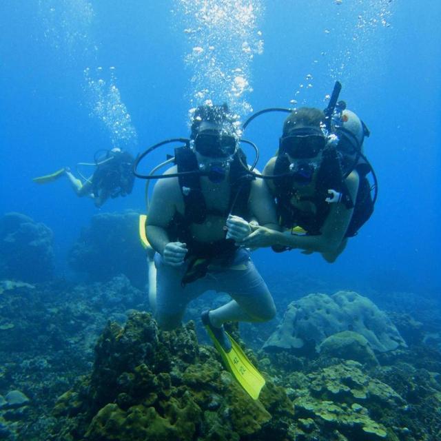 Scuba Diving Adventure - Rosario Islands