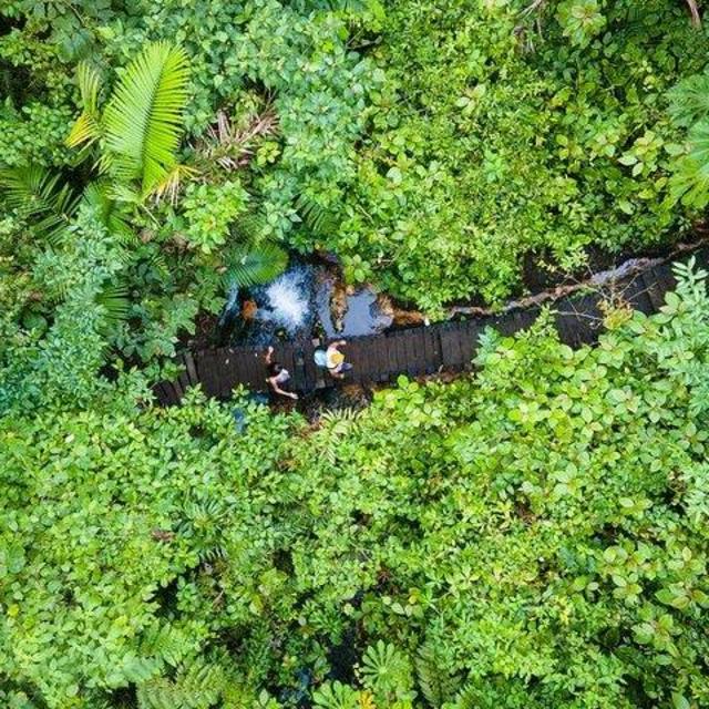 Honeymoon adventure tour in a Costa Rican rainforest