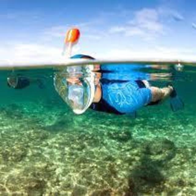 Snorkel Tour