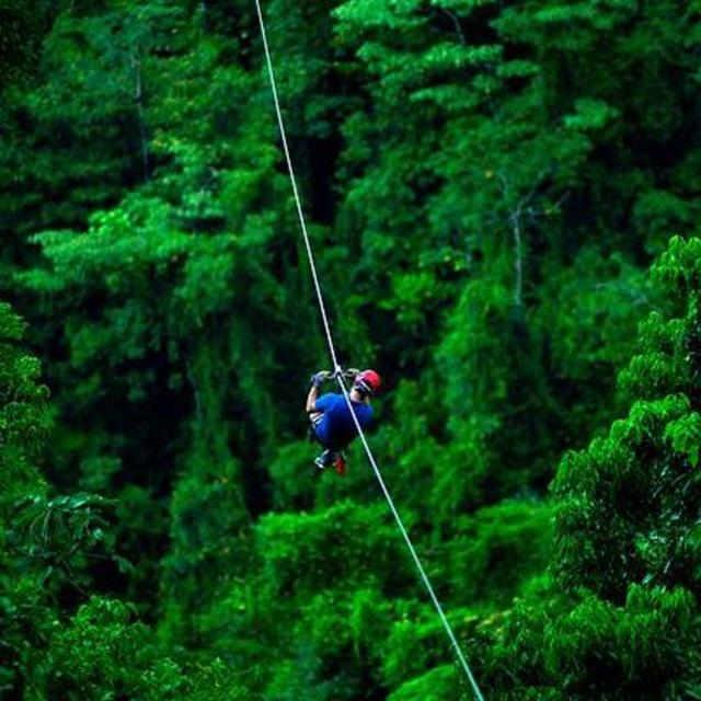 Selvatura Zipline Canopy Tour