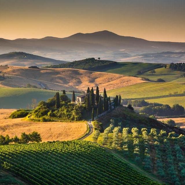 Honeymoon Fund - Wine Tasting in Florence