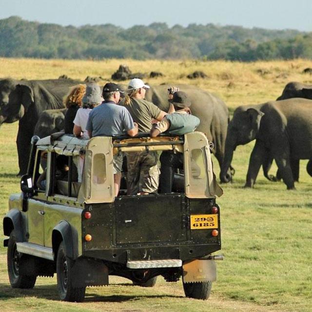 Safari in Sri Lanka