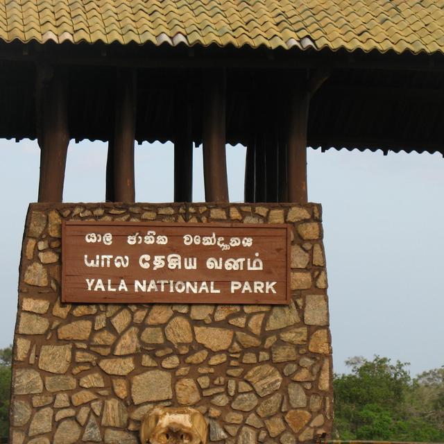 Bed and Breakfast by Yala National Park