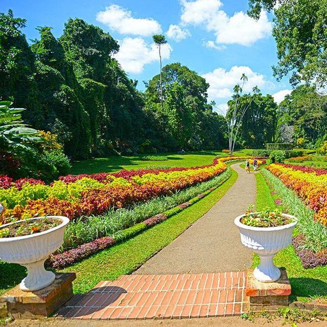 Royal Botanical Garden in Kandy