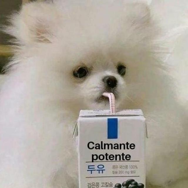 Open de calmante para os noivos antes da cerimonia