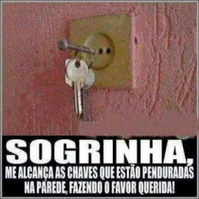 Viagem de um ano para a sogra