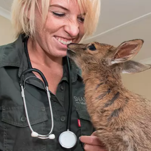 Animal Rehabilitation Center Visit